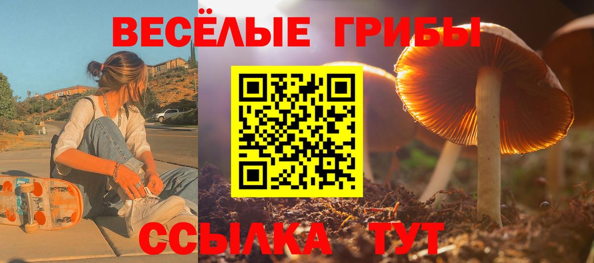 Кувандык  Галлюциногенные грибы мицелий  Вход с VPN 