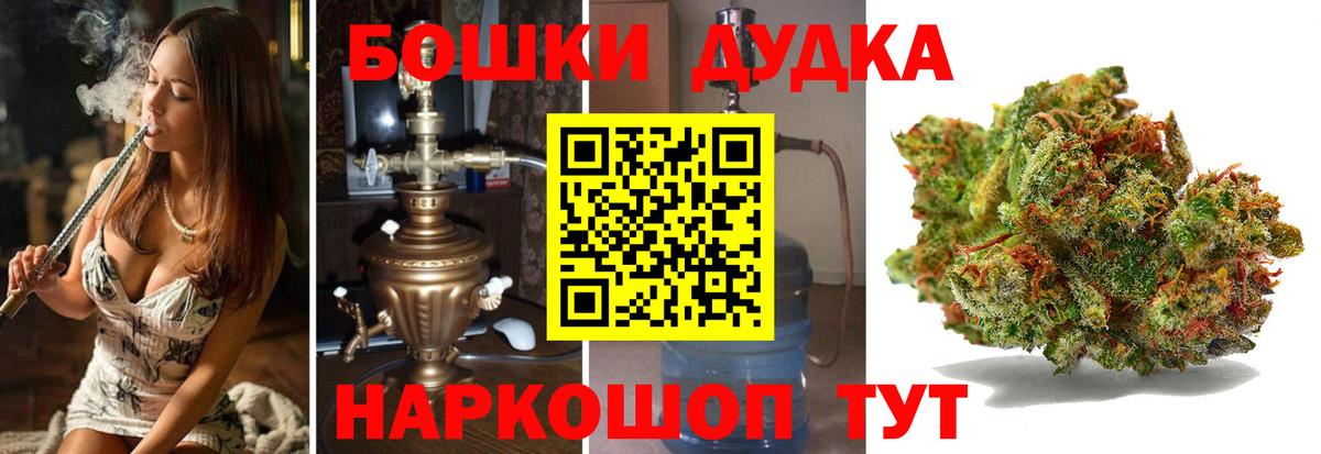 Каннабис планчик Кувандык